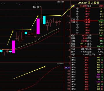 雪人股份重组最新消息深度解析,雪人股份重组最新动态深度解析
