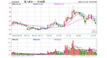 雪人股份重组最新消息深度解析,雪人股份重组最新动态深度解析