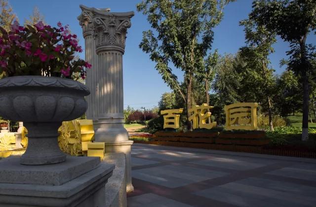 新澳门特免费资料大全与凯旋门,探索与赏析,澳门特免费资料大全与凯旋门,深度探索与赏析