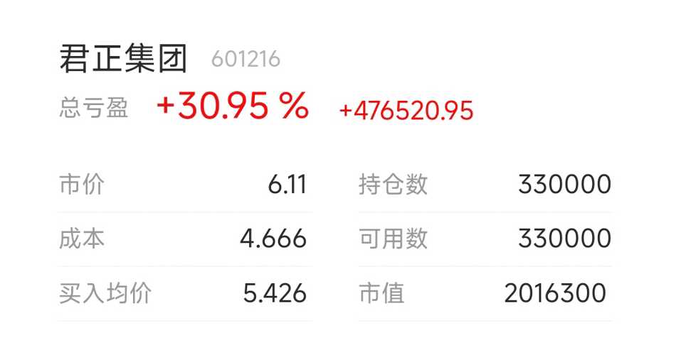 君正集团目标价20元,解析与前景展望,君正集团目标价20元,解析及前景展望