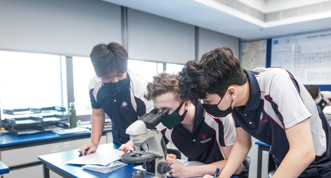 香港全年资料大全，探索香港的无限魅力，香港全年资料大全，探索无限魅力的香港