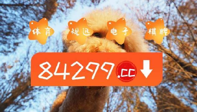 今晚一肖白小姐一肖一码正版——揭秘彩票背后的秘密,揭秘彩票背后的秘密,一肖白小姐正版一码一肖今晚揭晓