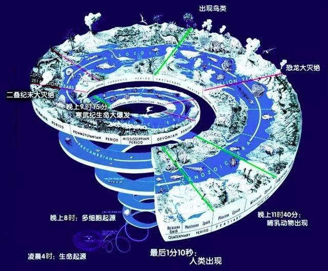 寒武纪重大利好,开启新一轮科技革命,寒武纪重大利好,开启新一轮科技革命浪潮