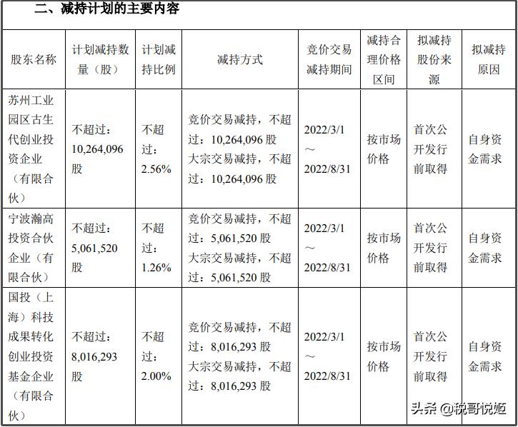 寒武纪股票，探索科技领域的潜力股，寒武纪股票，科技潜力股探索之旅