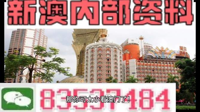澳门内部资料精准大全2023年概述,澳门内部资料精准大全概览,2023年概述