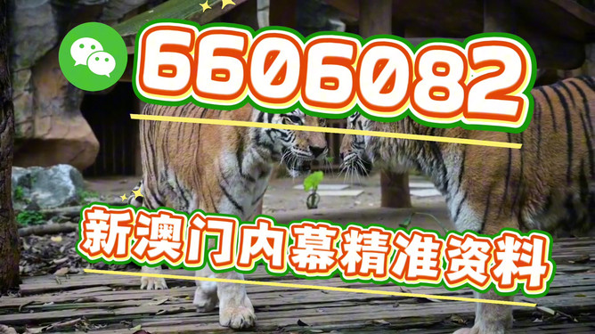 澳门今晚必开一肖一特,探索运气与预测的背后,探索运气与预测背后的秘密,澳门今晚必开一肖一特揭秘