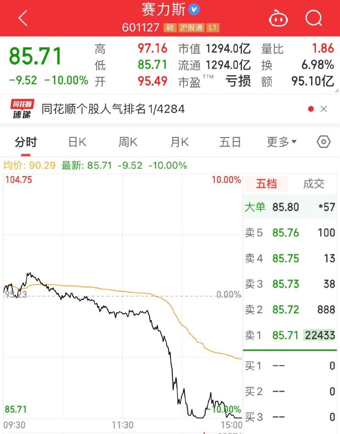 赛力斯股票暴跌原因深度解析，赛力斯股票暴跌原因深度探究