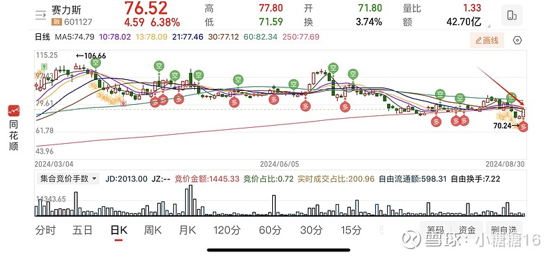赛力斯股票暴跌原因深度解析,赛力斯股票暴跌原因深度探究