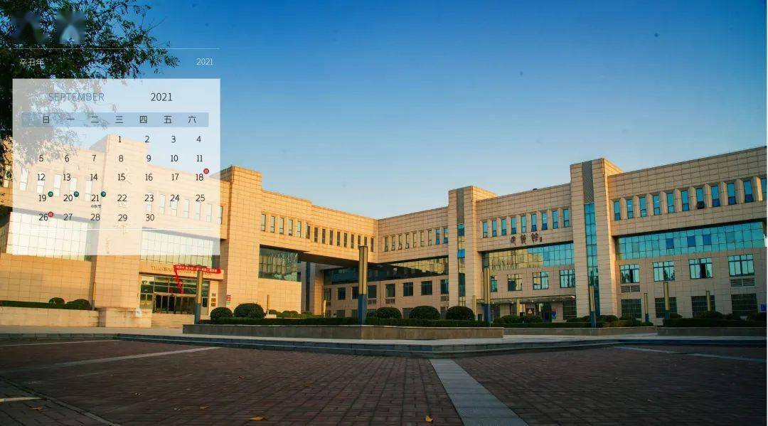 大联大商贸的档次定位解析,大联大商贸的档次定位深度解析