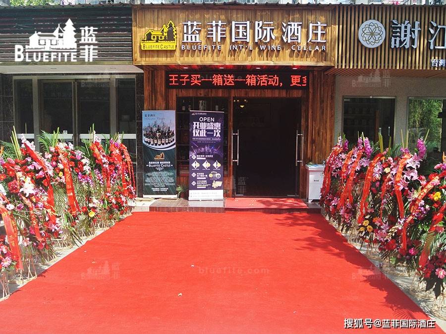 蓝菲国际酒庄，追溯酿酒之源，探寻卓越品质的总部之旅，蓝菲国际酒庄探寻卓越品质之旅，追溯酿酒之源的总部之旅