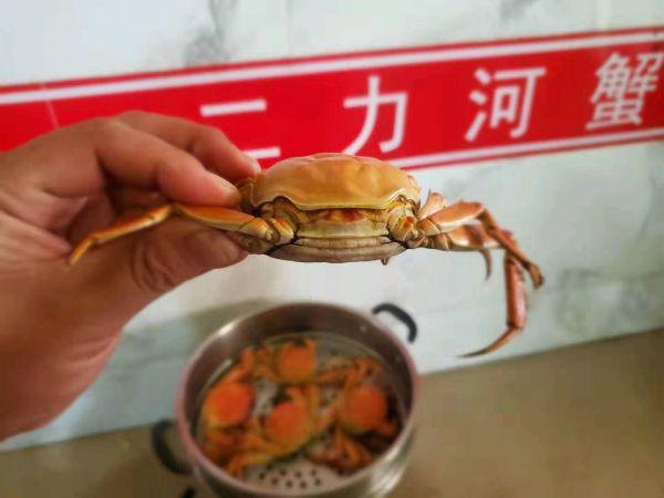 今日螃蟹价格最新行情分析，今日螃蟹价格行情分析与展望