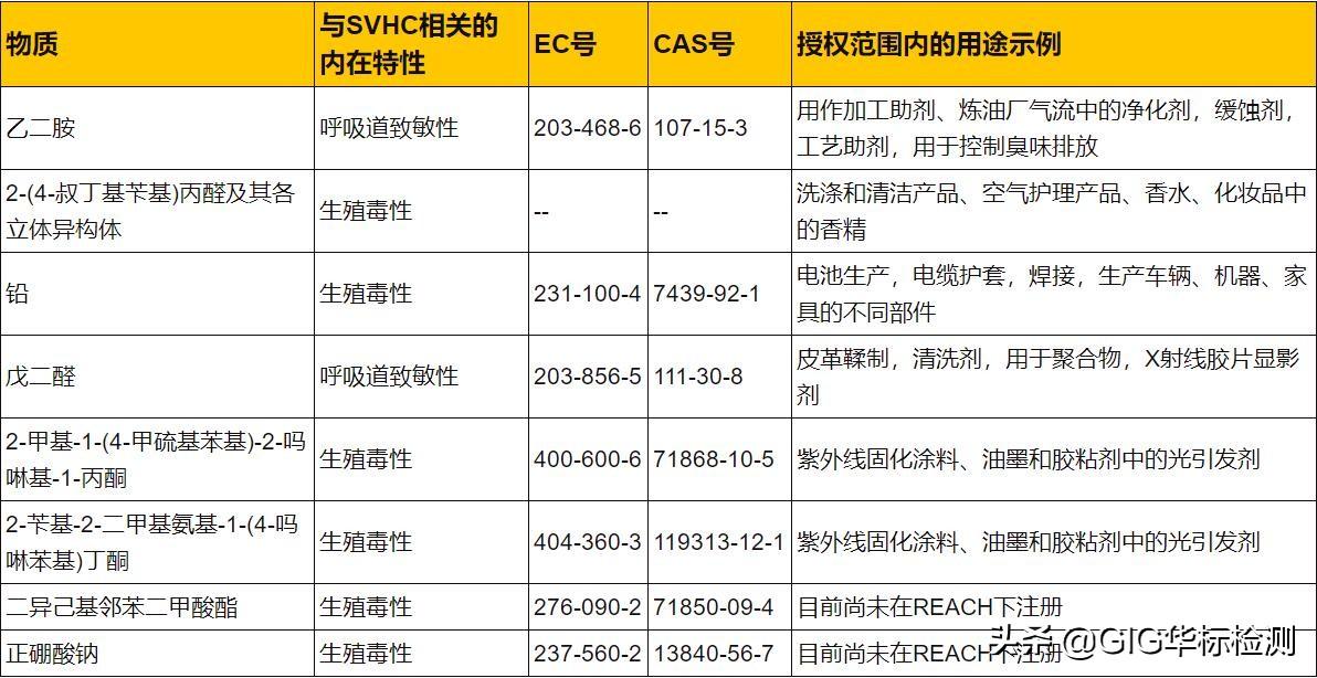 Reach最新更新，揭秘其最新功能的深度与广度，Reach最新更新深度解析，揭秘新功能广度与深度