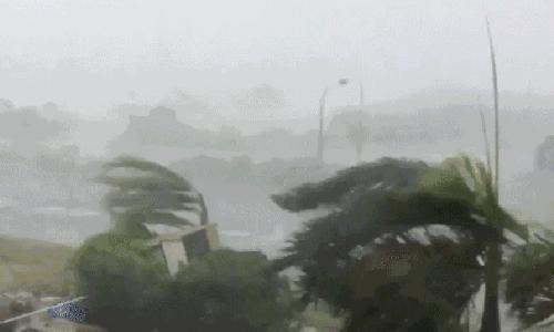 福建最近台风最新消息,福建台风最新动态更新