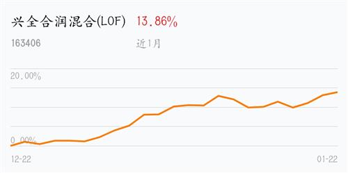 关于163406基金净值查询今天最新净值的全面解读，全面解读，今日最新净值公布，关于163406基金净值查询报告