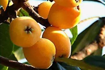 美国最新股市行情深度解析，美国股市行情最新深度解析