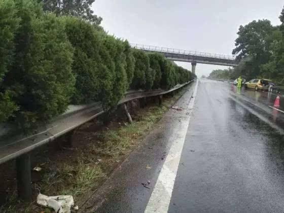 温州台风网最新消息路径,台风动态与影响分析,温州台风最新消息,路径、动态及影响分析