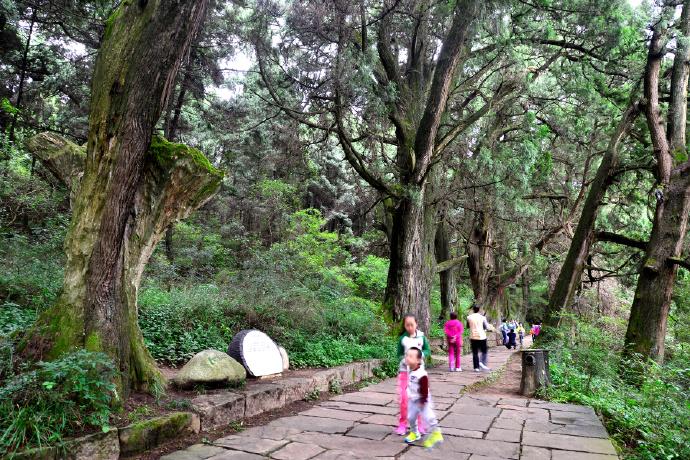 洛阳最新消息，古都焕发新活力，古都洛阳焕发新活力，最新消息一览