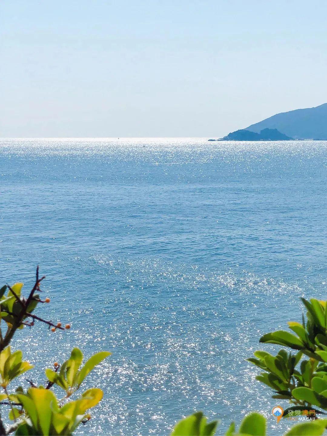 澳门最新消息全面解读，澳门最新动态全面解读