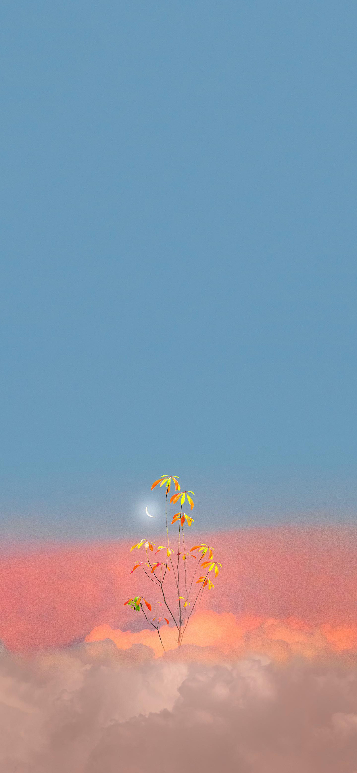 苹果手机最新壁纸，探索时尚与美学的交汇点，探索时尚美学交汇点，最新苹果手机壁纸精选