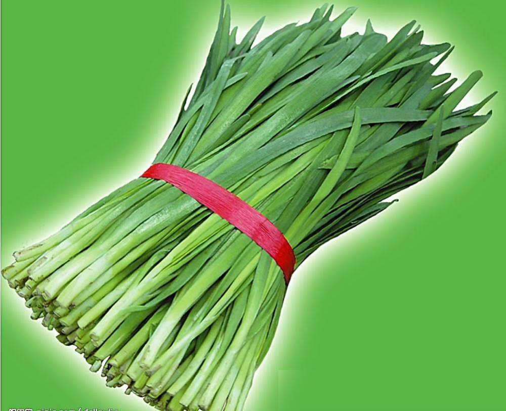 韭菜价格最新行情分析，韭菜价格最新行情解析