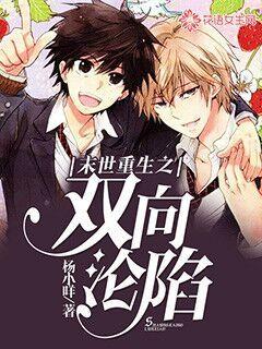 最新耽美小说,探索情感与自我之旅,最新耽美小说,情感与自我之旅的探索