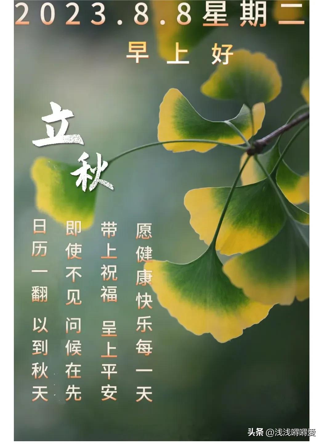 最新的早安图片，唤醒美好一天的温馨启示，温馨早安图片，唤醒美好一天的正能量启示