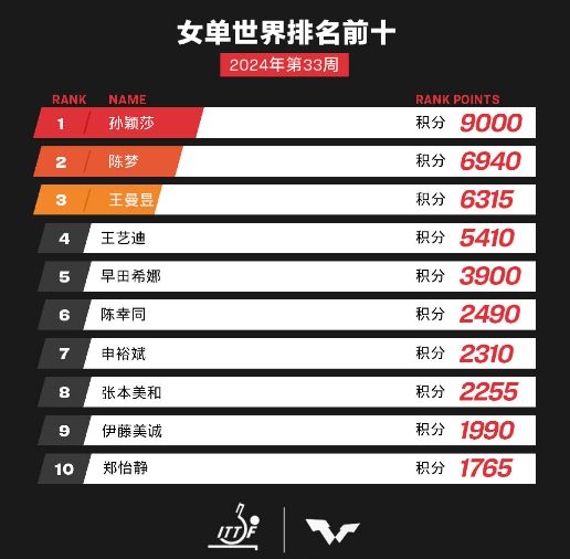 乒乓排名世界排名最新，顶尖选手的荣耀与奋斗，顶尖选手荣耀与奋斗，乒乓世界排名最新更新