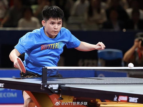 乒乓排名世界排名最新,顶尖选手的荣耀与奋斗,顶尖选手荣耀与奋斗,乒乓世界排名最新更新